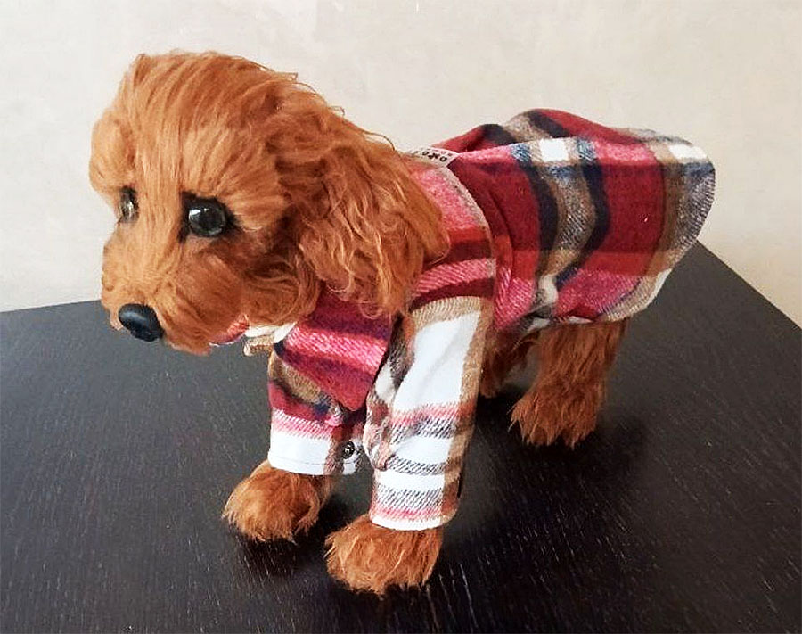 "Мій домашній улюбленець" (Polina Kaiutkina)