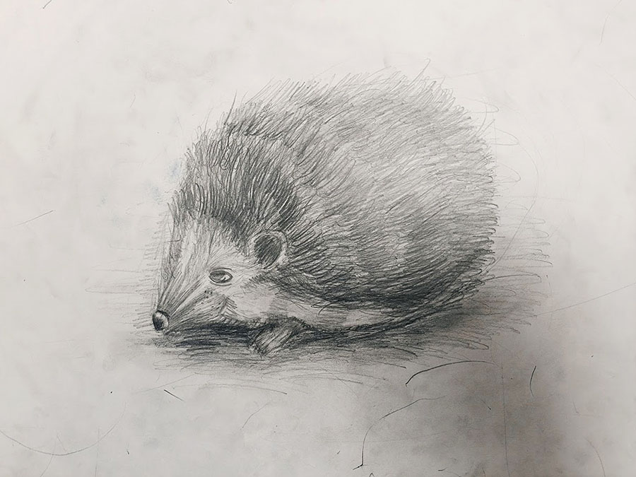 "Їжачок" (Зоряна Ляшук)